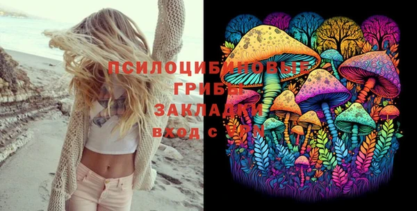 хмурый Козловка