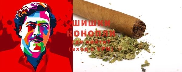PSILOCYBIN Абинск
